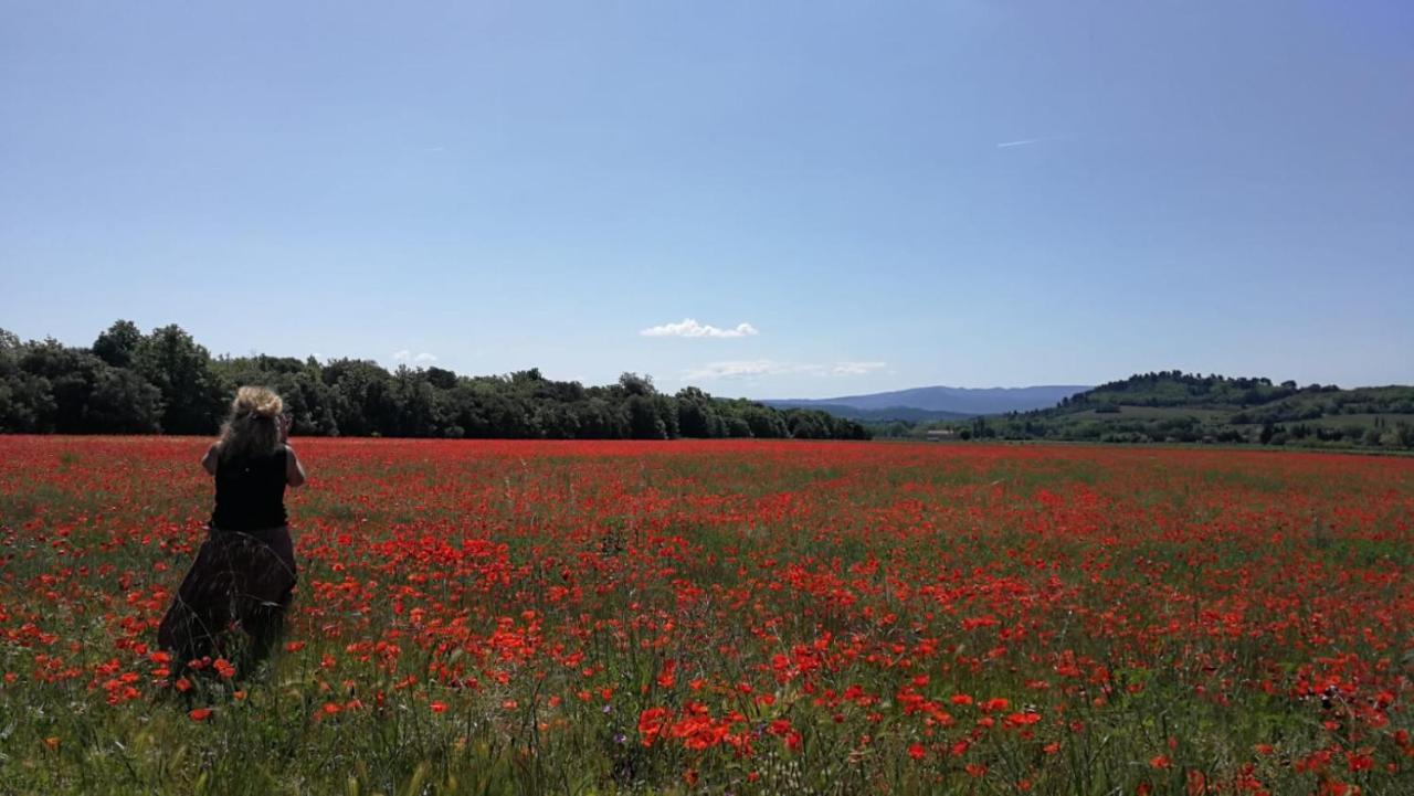 Sous Les Chenes Villa Peypin-d'Aigues Buitenkant foto